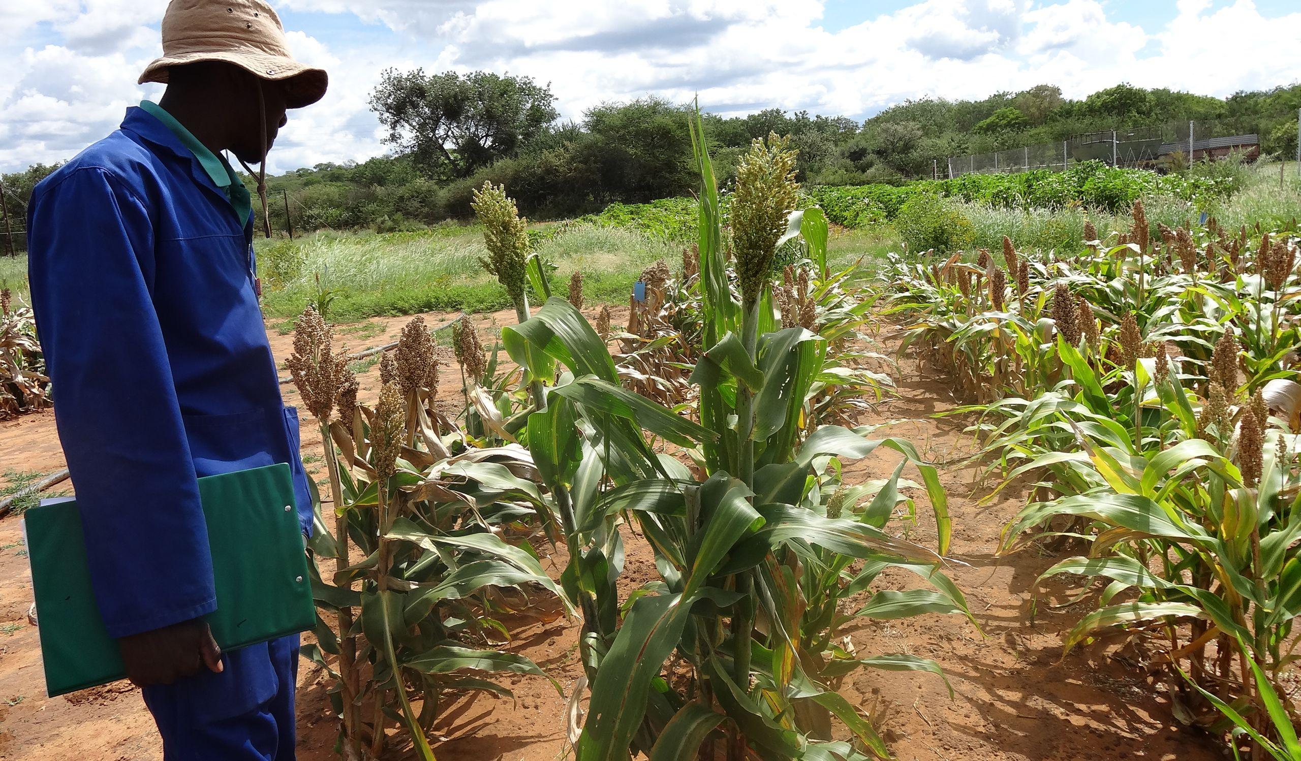 Farming Solutions